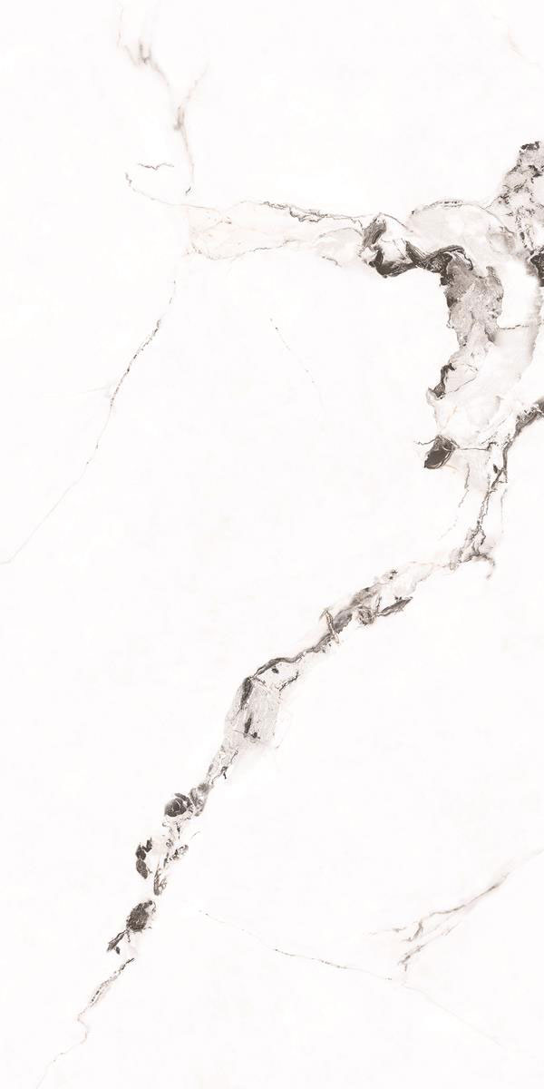 CAPRAIA. GREY F4